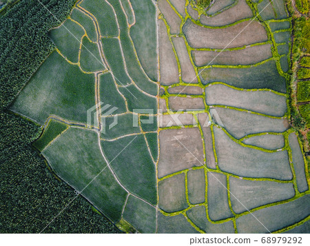 Views of rice fields, rice fields and mountains Views of rice fields, rice fields and mountains 68979292