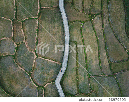 Views of rice fields, rice fields and mountains Views of rice fields, rice fields and mountains 68979303