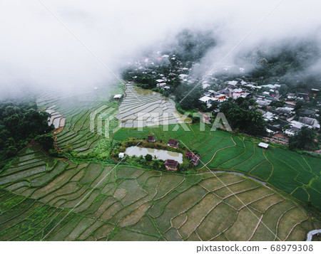 Views of rice fields, rice fields and mountains 68979308