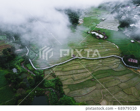 Views of rice fields, rice fields and mountains 68979310