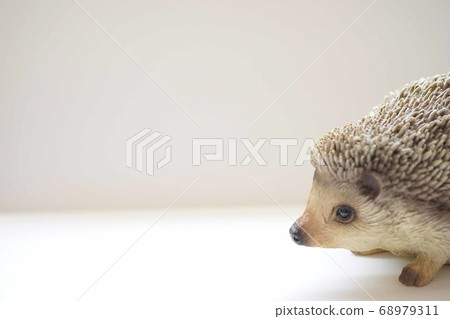 Hedgehog frame Hedgehog frame 68979311