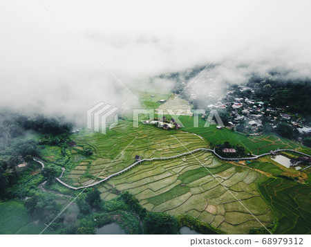 Views of rice fields, rice fields and mountains Views of rice fields, rice fields and mountains 68979312