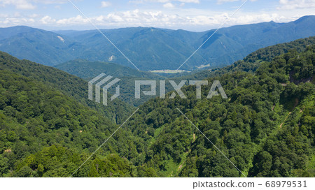 白山超木路 白山超木路 68979531