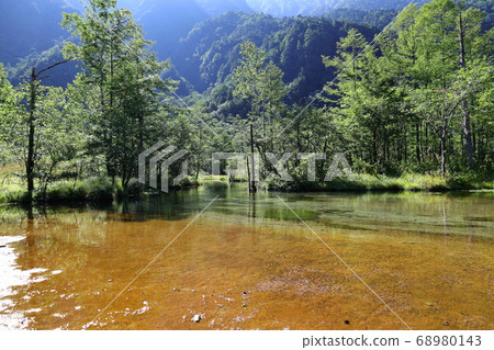 夏天在長野縣上高地-田代池 68980143