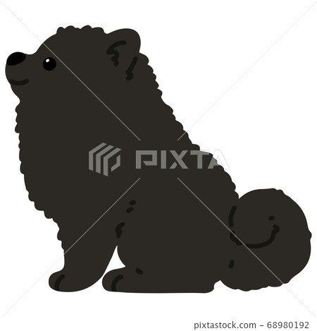 沒有主線側身坐黑色博美犬的插圖 68980192