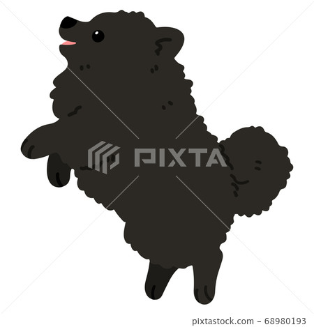 黑色博美犬跳向側面而沒有乾線的插圖 68980193