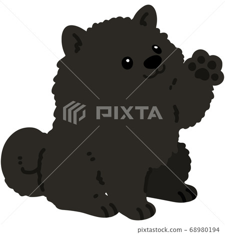 坐下，沒有主線時揮舞著黑色博美犬的插圖 68980194