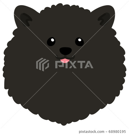 沒有主線的黑色博美犬的正面插圖 68980195