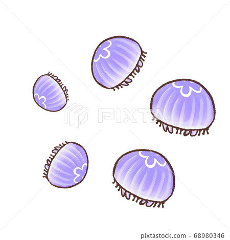 R：更童話的水族館很多月水母1 68980346