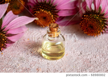 A bottle of essential oil with echinacea flowers A bottle of essential oil with echinacea flowers 68980802