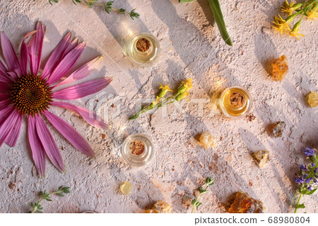 Essential oil bottles with frankincense, hyssop, echinacea and other herbs 68980804