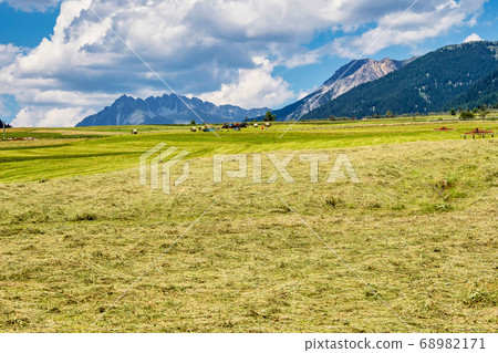 Val Venosta, Vinschgau, Alto Adige, Italy. View 68982171