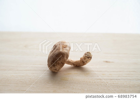 生香菇 生香菇 68983754