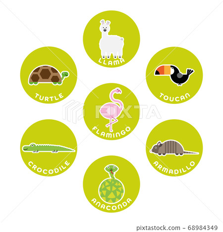South American wild animals collection. Set of... - Stock Illustration  [68984349] - PIXTA