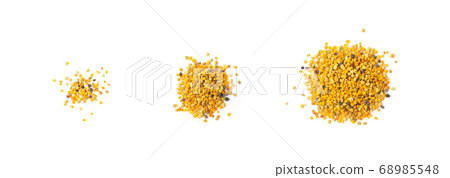Bee Pollen, Perga, Flower Pollen Grains or Bee 68985548