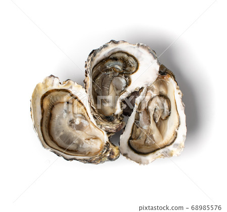 Fresh Opened Oyster Isolated on White Background. Fresh Opened Oyster Isolated on White Background. 68985576