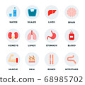 Set of water, weights and human body parts vector illustration in a flat design. 68985702