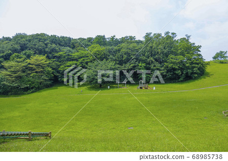 Early summer Tokyo Oyamadai green space Early summer Tokyo Oyamadai green space 68985738
