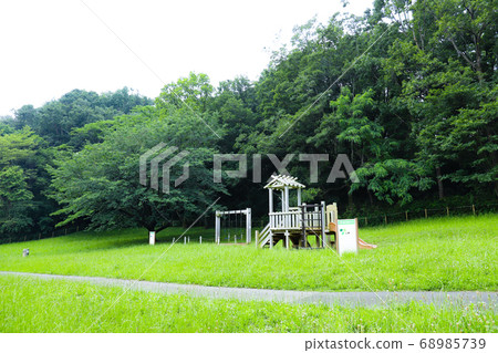 初夏東京大山台綠地 初夏東京大山台綠地 68985739