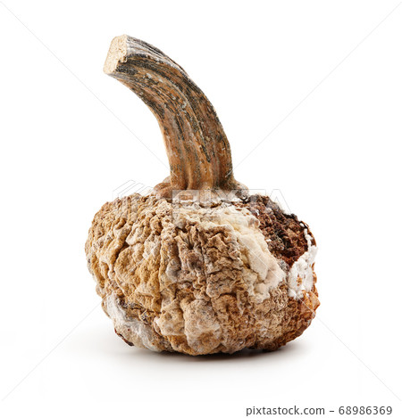 Rotten pumpkin isolated on white background 68986369