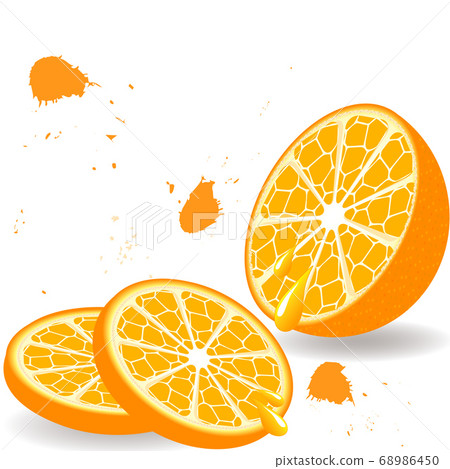 vector illustration of an orange vector illustration of an orange 68986450