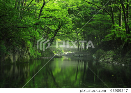 岩手縣墨田區Summer Stream 68989247