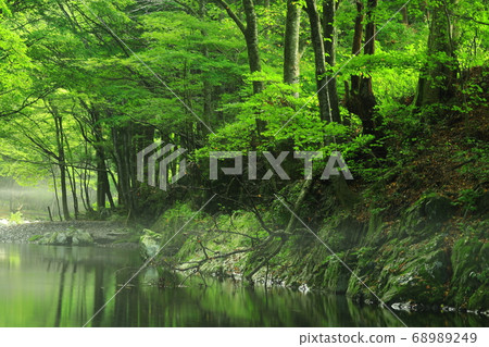 岩手縣墨田區Summer Stream 68989249