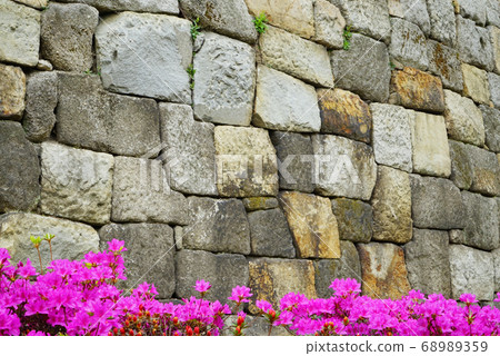 Castle spring 68989359