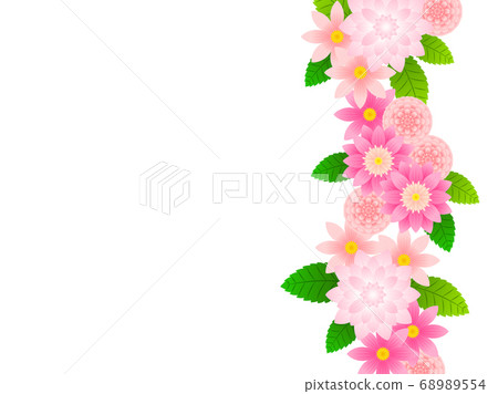 粉色大麗花圖背景 68989554