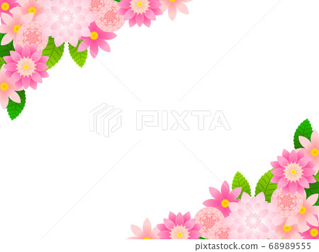粉色大麗花圖背景 68989555