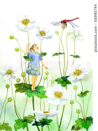 Autumn chrysanthemum and girl Autumn chrysanthemum and girl 68990744