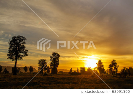 sunset landscape with mountain background and grass view,  Grass at sunset scene.  68991500