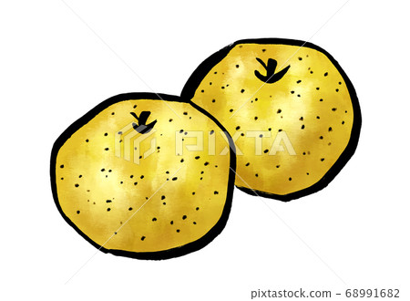 Pear watercolor illustration pear 68991682