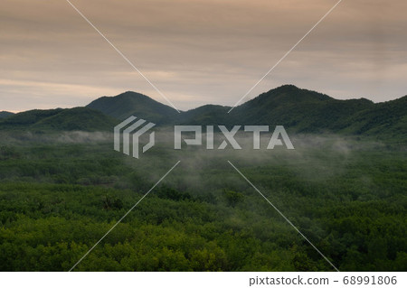 landscape of the tropical forest in morning, Koh landscape of the tropical forest in morning, Koh 68991806