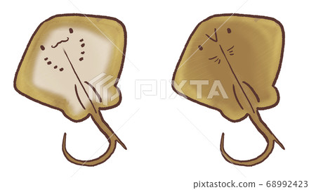 R：黃貂魚E，一個更加童話般的水族館 68992423
