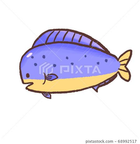 R：更童話般的水族館Shiira Mahimahi A 68992517