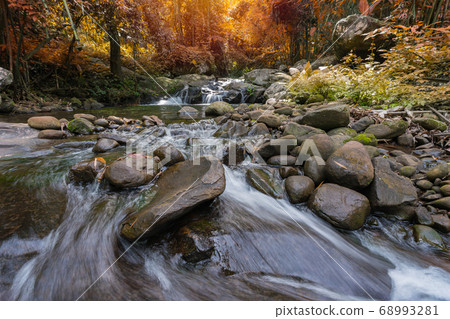 Waterfall scene at Phu Soi Dao national park in Uttaradit province Thailand. Waterfall scene at Phu Soi Dao national park in Uttaradit province Thailand. 68993281