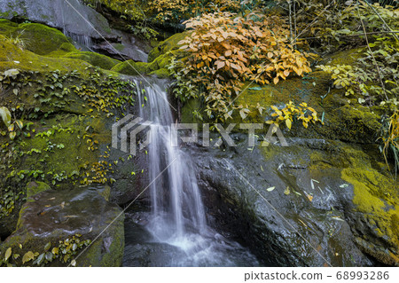 Waterfall scene at Phu Soi Dao national park in Uttaradit province Thailand. Waterfall scene at Phu Soi Dao national park in Uttaradit province Thailand. 68993286