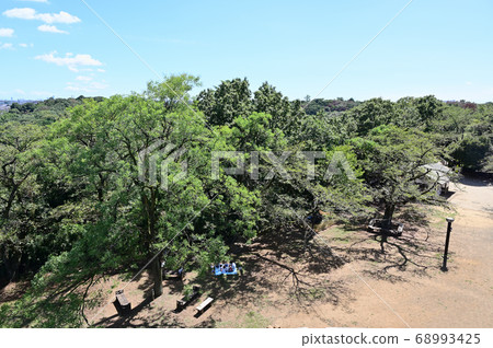 Mas田山展望台的Ikuta Ryokuchi視圖 68993425