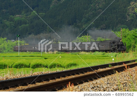 C11-227 running through the tea plantation C11-227 running through the tea plantation 68993562