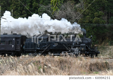 Oigawa Railway, pull SL Kawaneji, C10-8 68994231