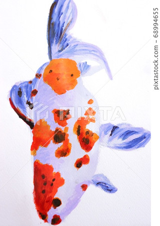 Illustration of Shubunkin - Stock Illustration [68994655] - PIXTA