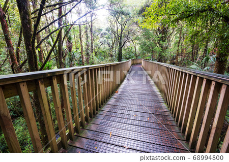 Boardwalk in the forest 68994800