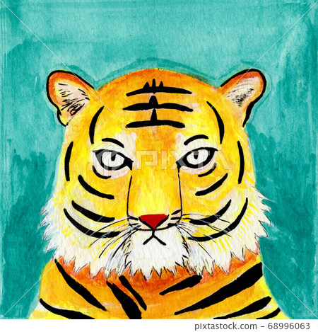 Tiger face illustration Tiger face illustration 68996063