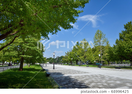 Tokyo Marunouchi Gyoko Street 68996425