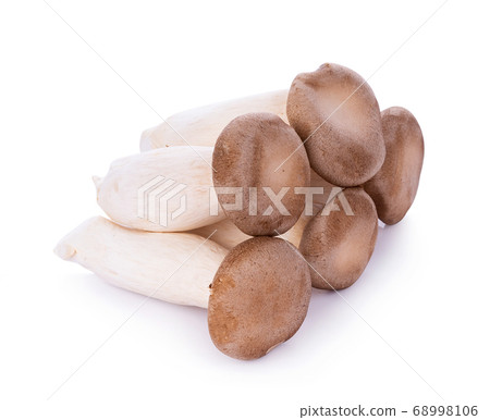 King oyster mushroom Pleurotus eryngii on white 68998106