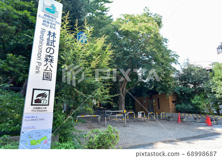 Woodland forest park Woodland forest park 68998687