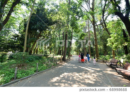 Woodland forest park Woodland forest park 68998688