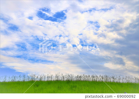 Only fields, blue sky and clouds 69000092