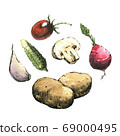 Hand-drawn watercolor image of vegetables. JPEG 69000495